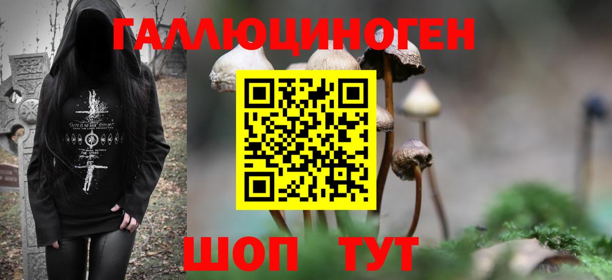 Приморско-Ахтарск  Галлюциногенные грибы MAGIC MUSHROOMS  Вход с VPN 